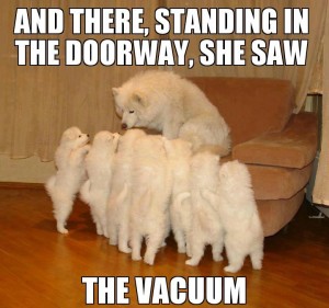 vacuum