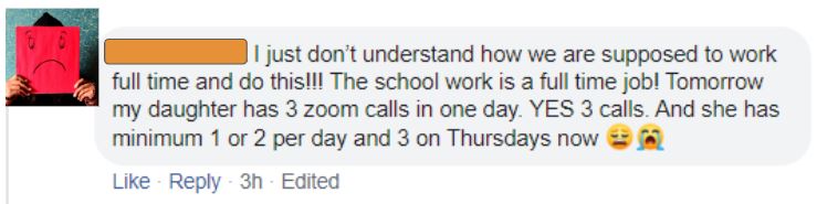  I just don’t understand how we are supposed to work full time and do this!!! The school work is a full time job! Tomorrow my daughter has 3 zoom calls in one day. YES 3 calls. And she has minimum 1 or 2 per day and 3 on Thursdays now ??