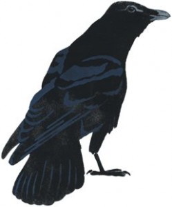 raven=change